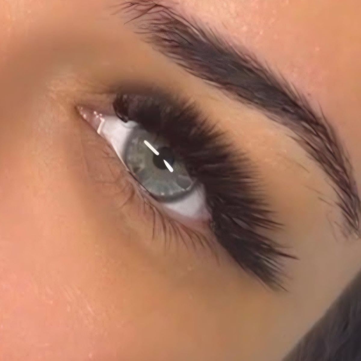 Extreme close-up of completed Ladybug Lashes L curl volume lash extension set on blue-grey eye showing dramatic lift, full upper lash line coverage and wispy separated fan effect