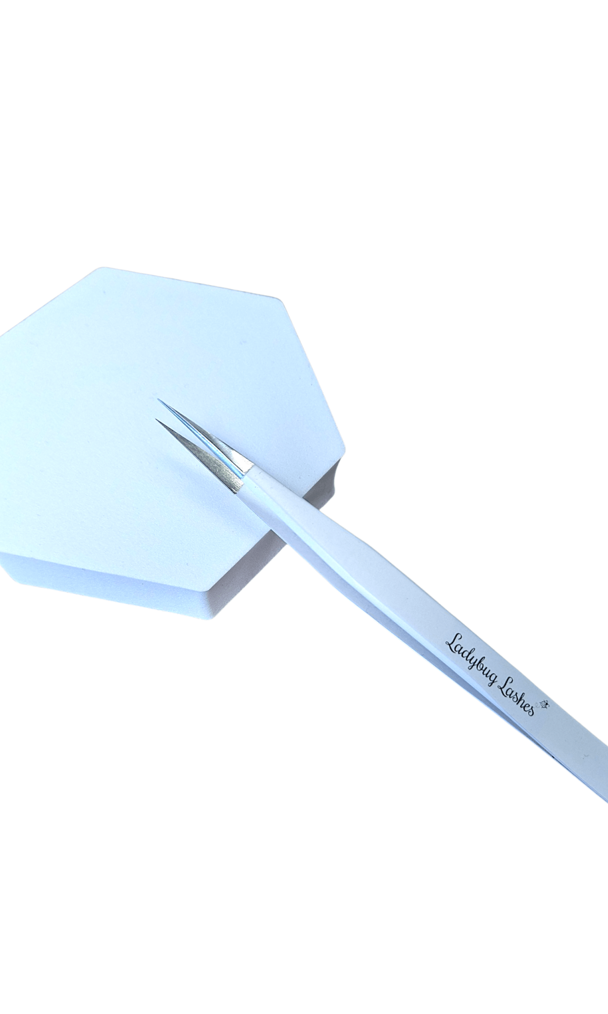 ladybuglashes lashglue lashtrays lashadhesive glueretention cloverlashes wlashes yylashes premades promades lashes