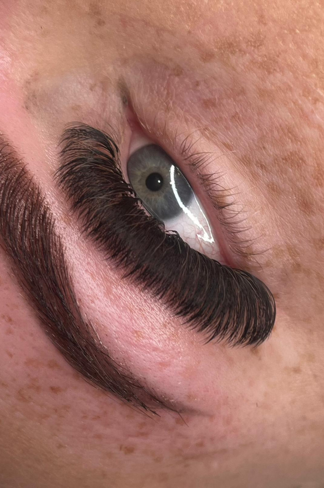 ladybuglashes lashglue lashtrays lashadhesive glueretention cloverlashes wlashes yylashes premades promades lashes