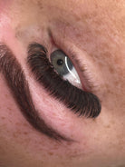 ladybuglashes lashglue lashtrays lashadhesive glueretention cloverlashes wlashes yylashes premades promades lashes