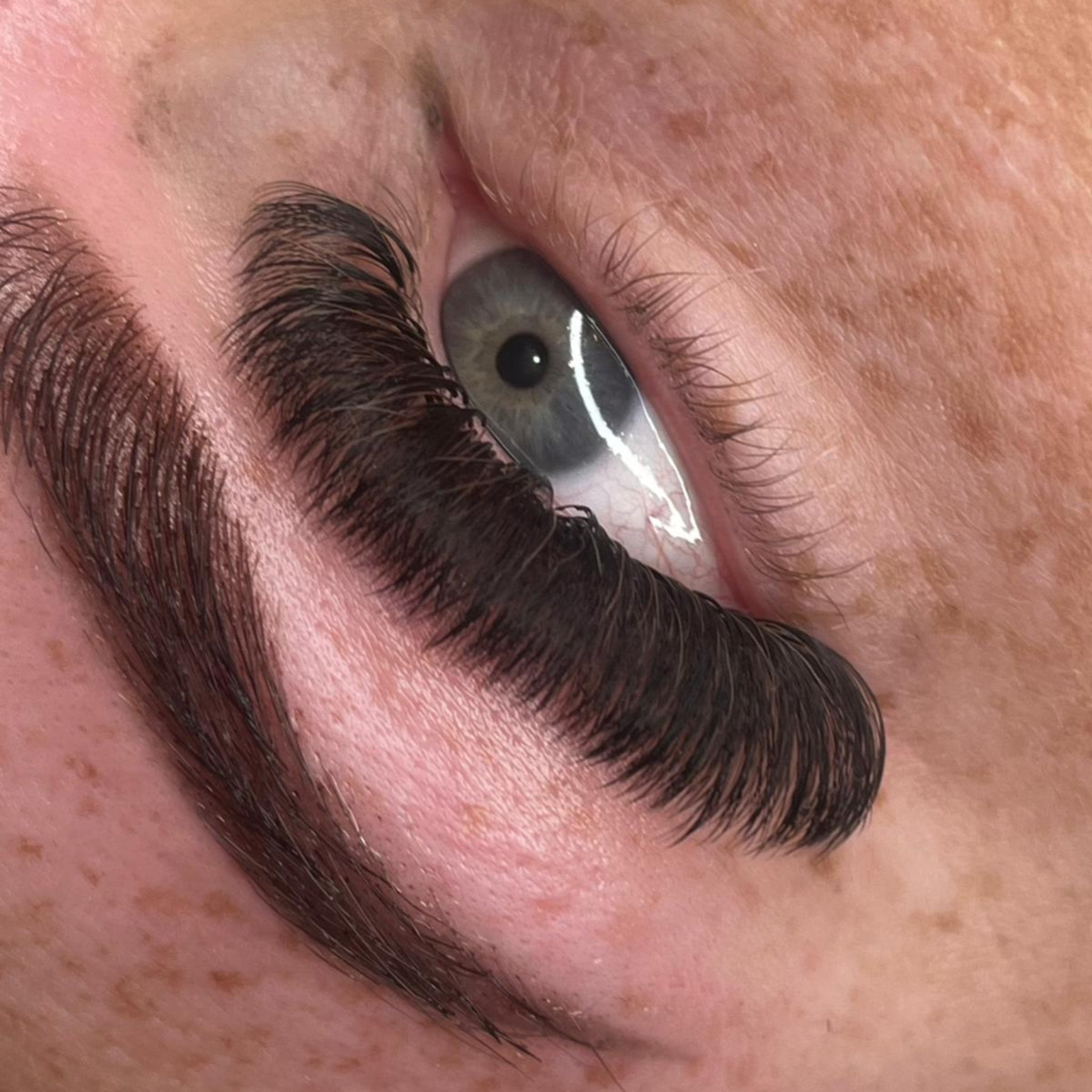 ladybuglashes lashglue lashtrays lashadhesive glueretention cloverlashes wlashes yylashes premades promades lashes