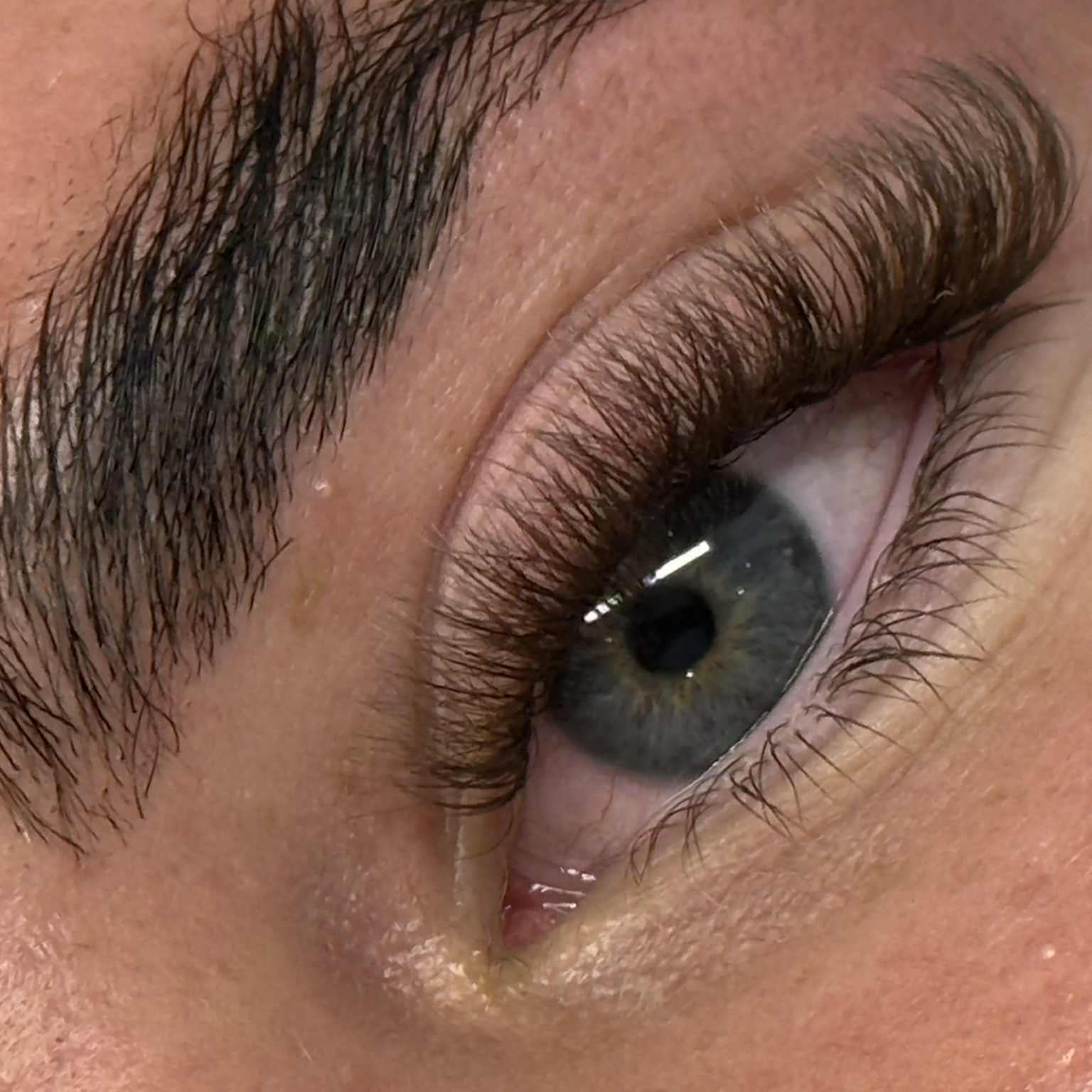 ladybuglashes lashglue lashtrays lashadhesive glueretention cloverlashes wlashes yylashes premades promades lashes