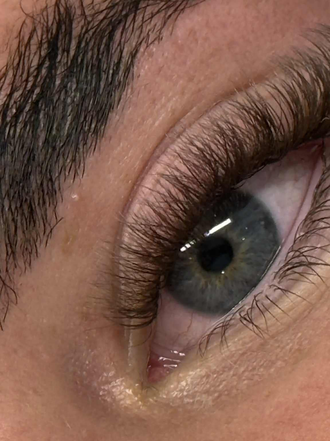 ladybuglashes lashglue lashtrays lashadhesive glueretention cloverlashes wlashes yylashes premades promades lashes