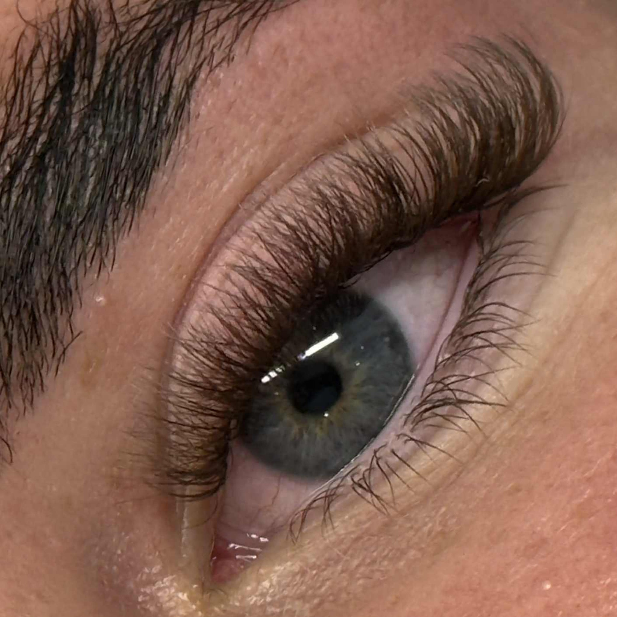 ladybuglashes lashglue lashtrays lashadhesive glueretention cloverlashes wlashes yylashes premades promades lashes
