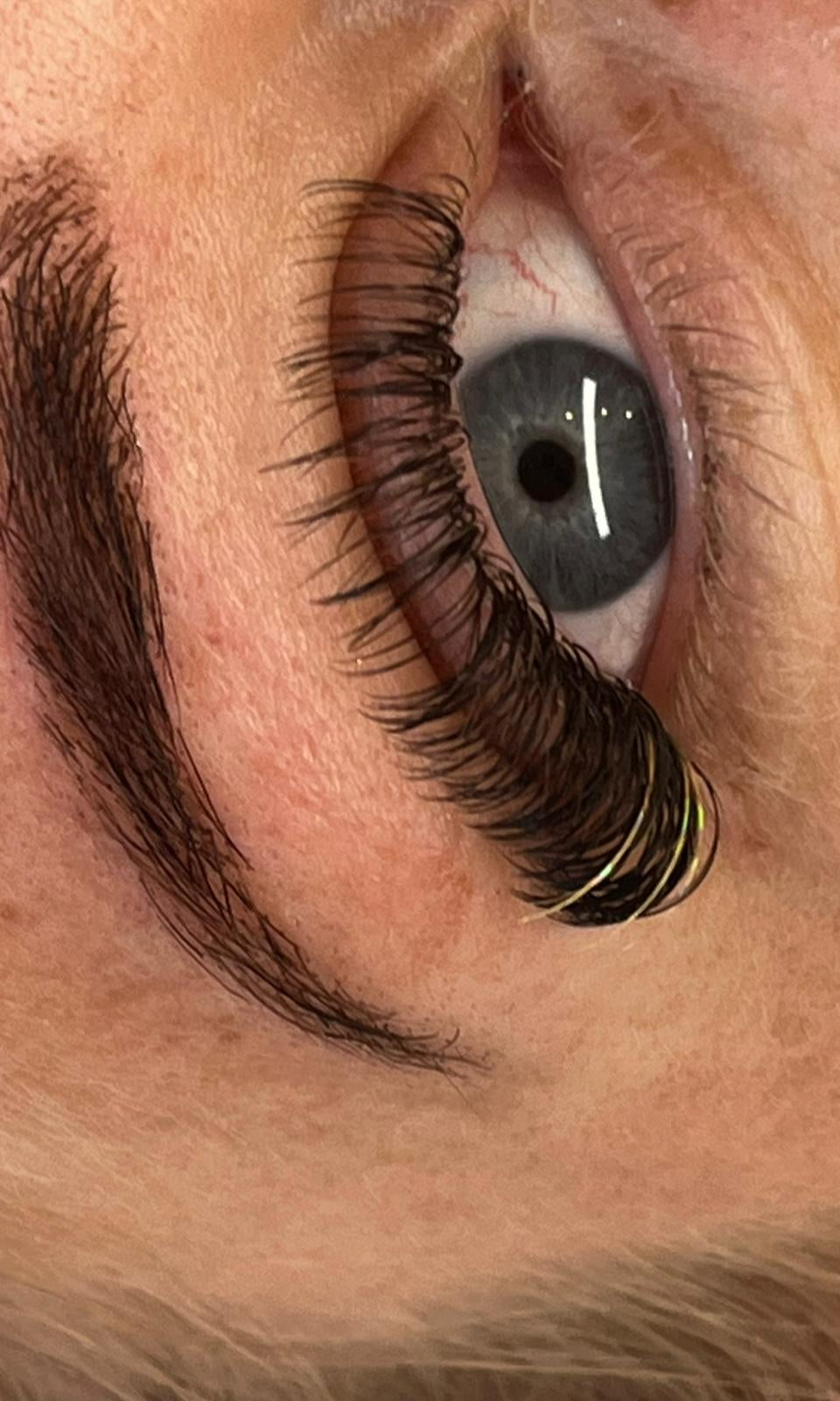 ladybuglashes lashglue lashtrays lashadhesive glueretention cloverlashes wlashes yylashes premades promades lashes