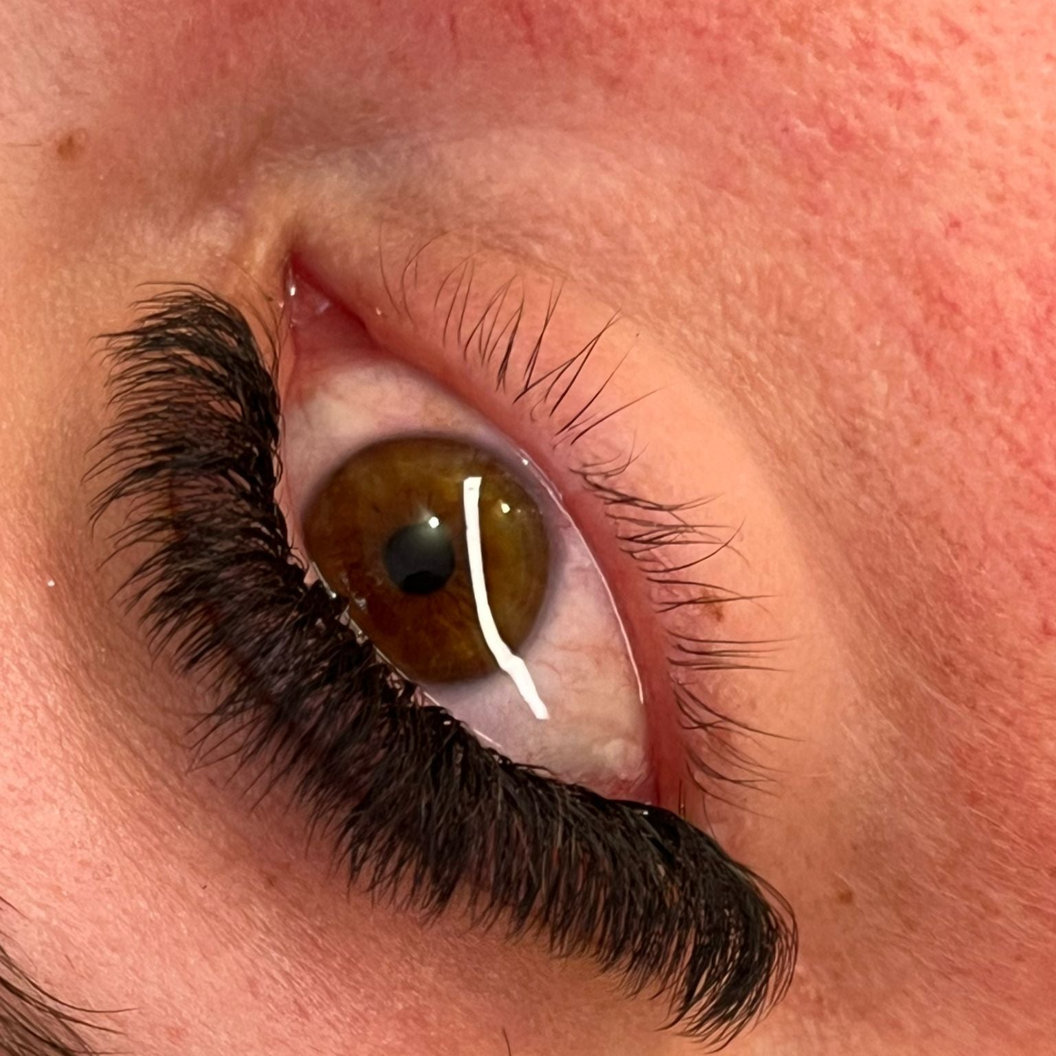 8D Clover Lashes 16 row mixed tray