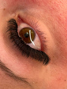 8D Clover Lashes 16 row mixed tray