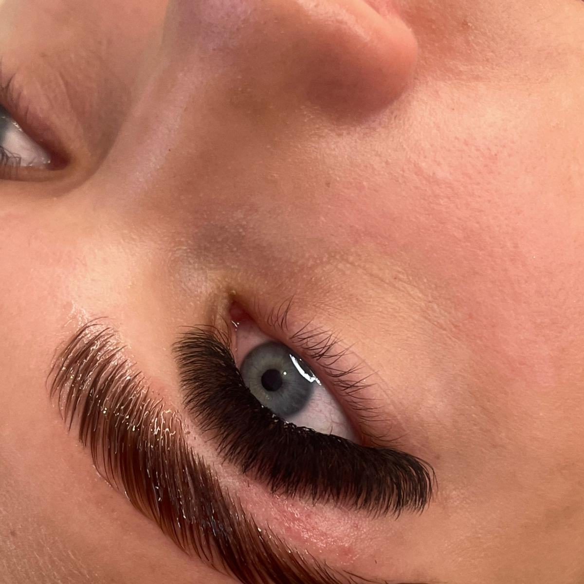 8D Clover Lashes 16 row mixed tray