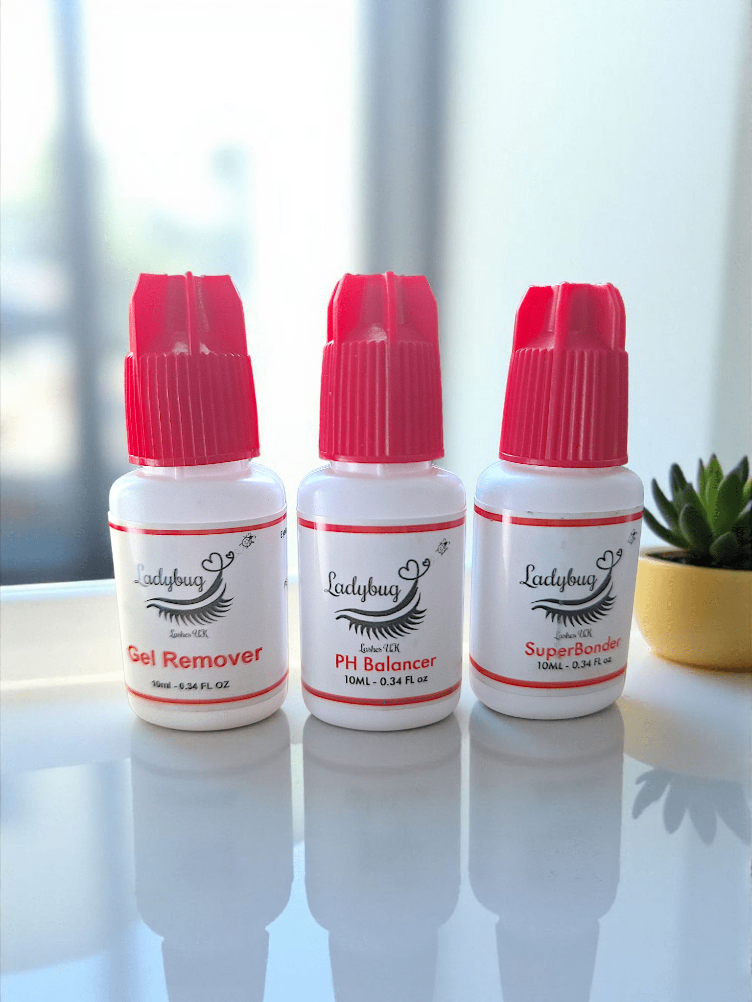 ladybuglashes lashglue lashtrays lashadhesive glueretention cloverlashes wlashes yylashes premades promades lashes