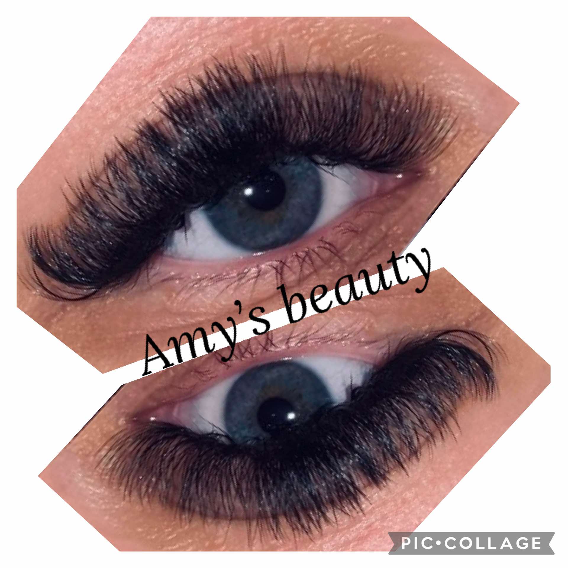 ladybuglashes lashglue lashtrays lashadhesive glueretention cloverlashes wlashes yylashes premades promades lashes