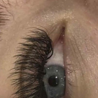 10D Clover Lashes 16 row mixed box