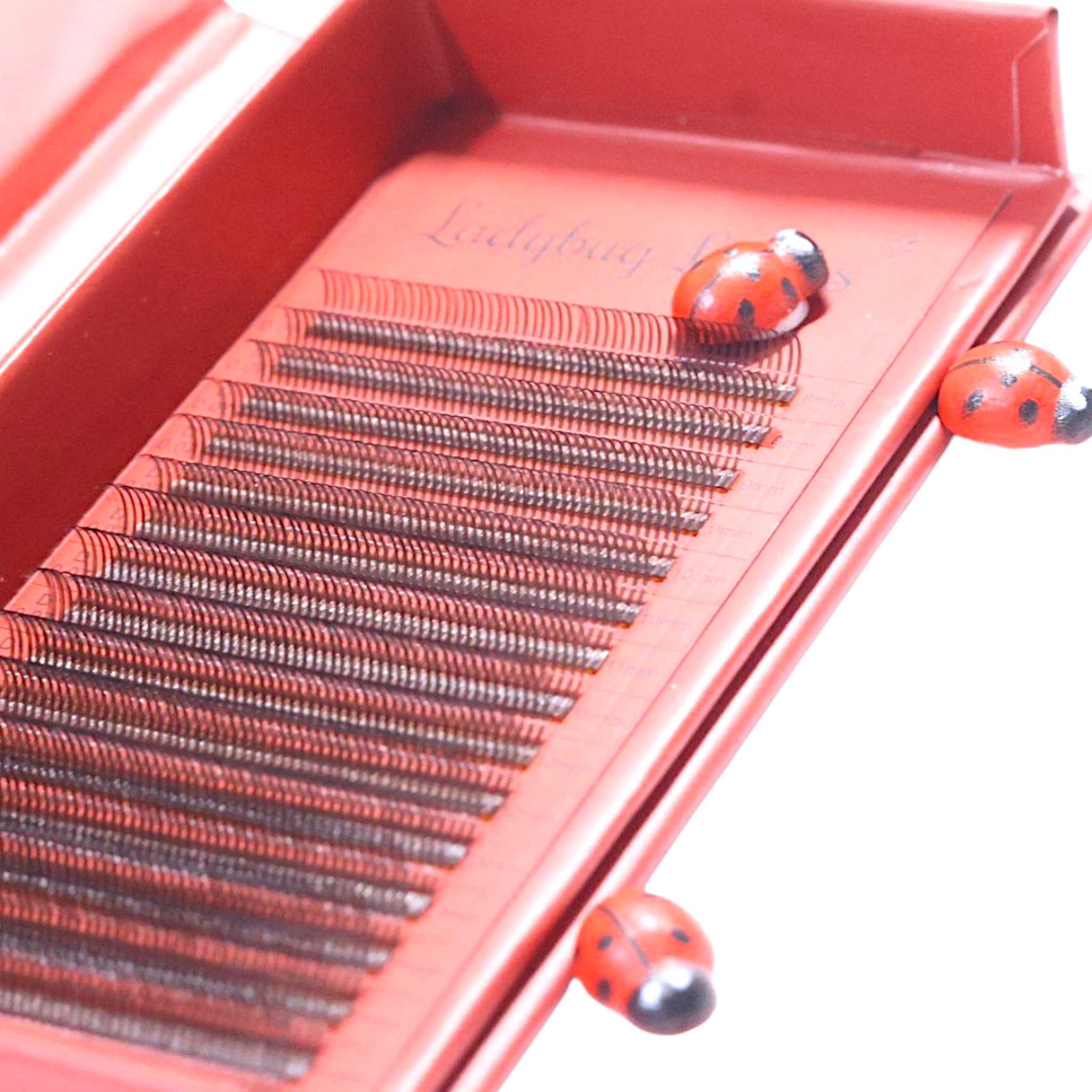 Ladybug Lashes Brown Angel Lash 16 Row Mixed Tray angled close-up shot showing open red branded box with rows of warm brown angel lashes on a red tray insert, with Ladybug Lashes script branding and two decorative ladybird props visible from a low side angle