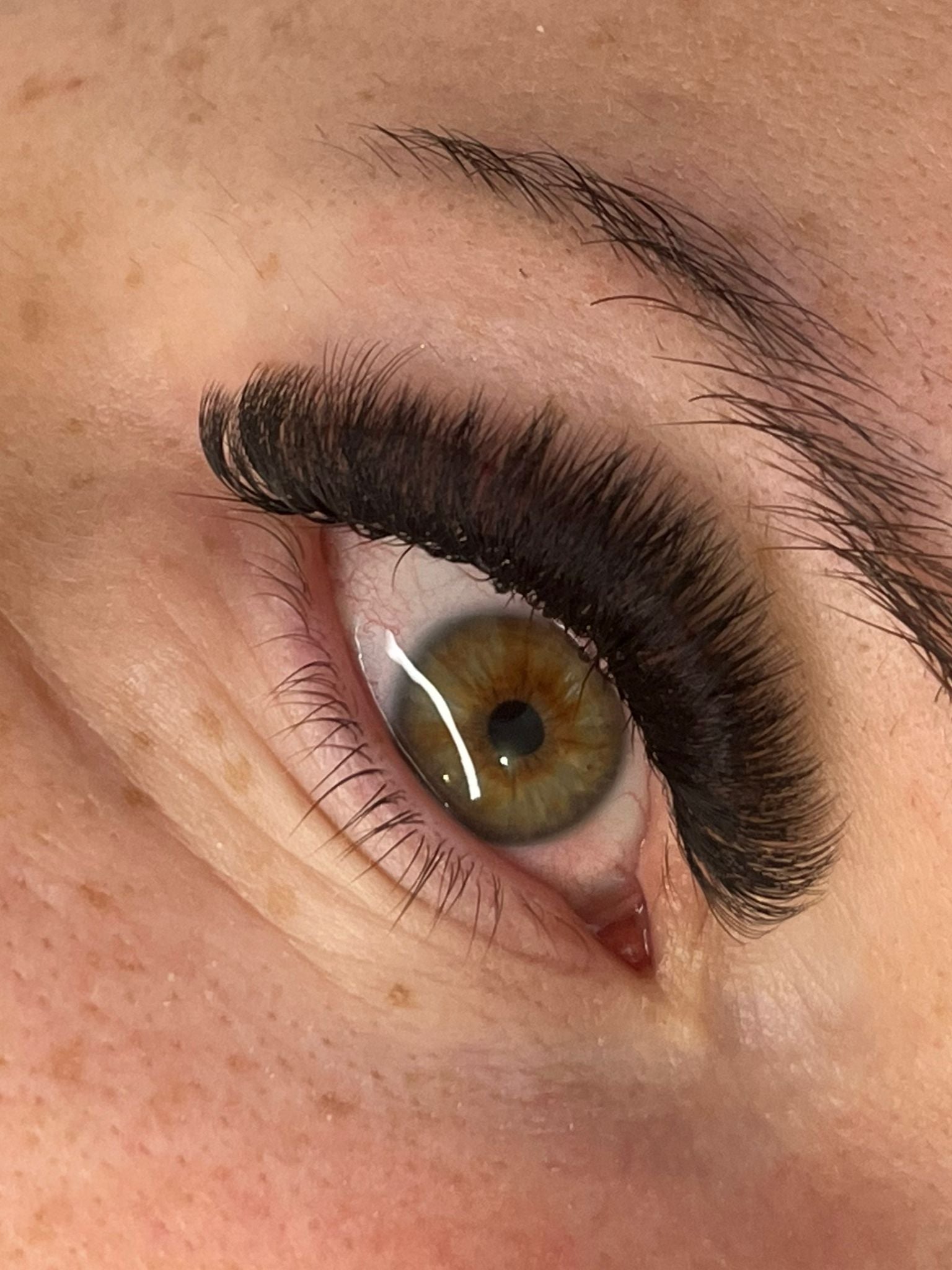 ladybuglashes lashglue lashtrays lashadhesive glueretention cloverlashes wlashes yylashes premades promades lashes