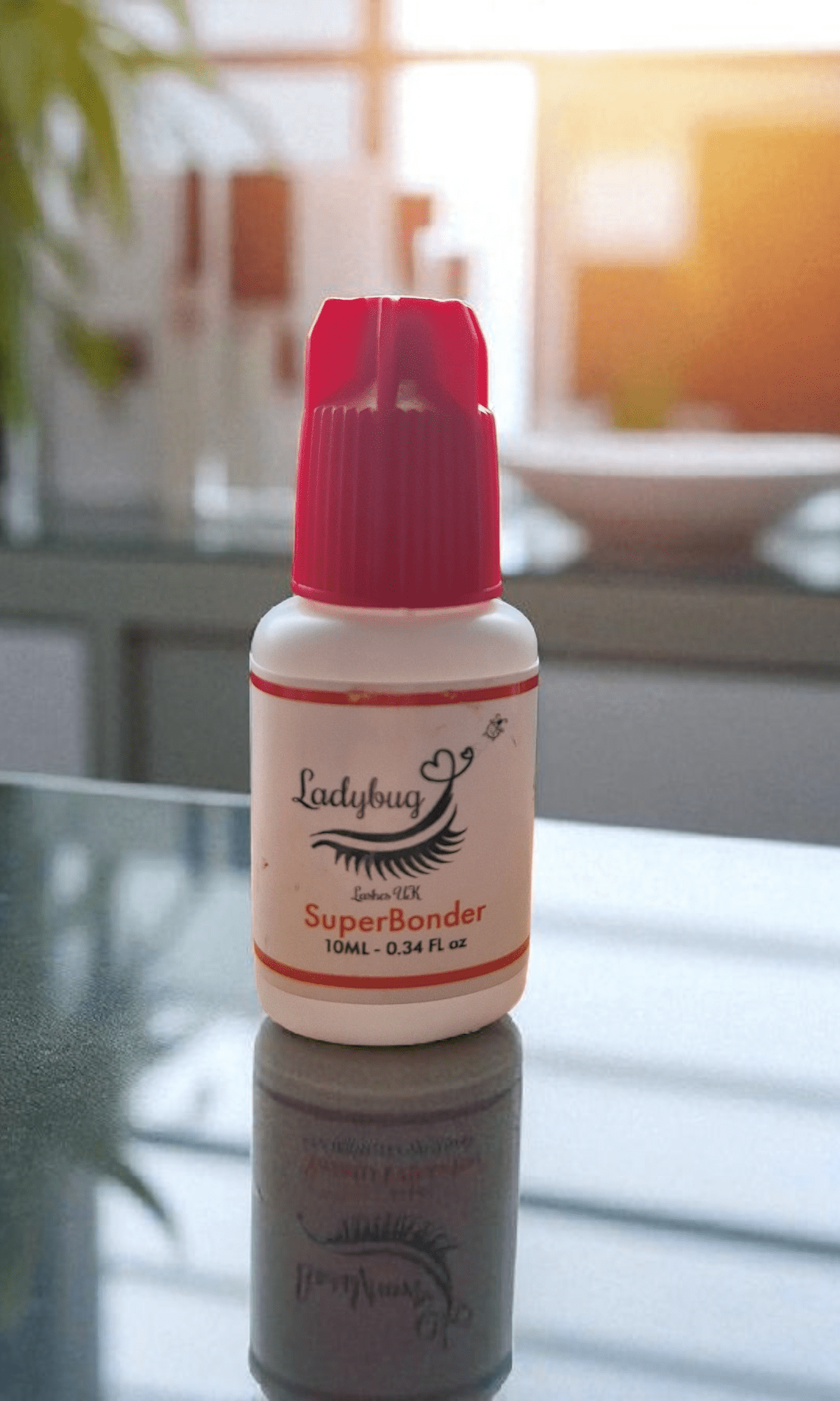 ladybuglashes lashglue lashtrays lashadhesive glueretention cloverlashes wlashes yylashes premades promades lashes