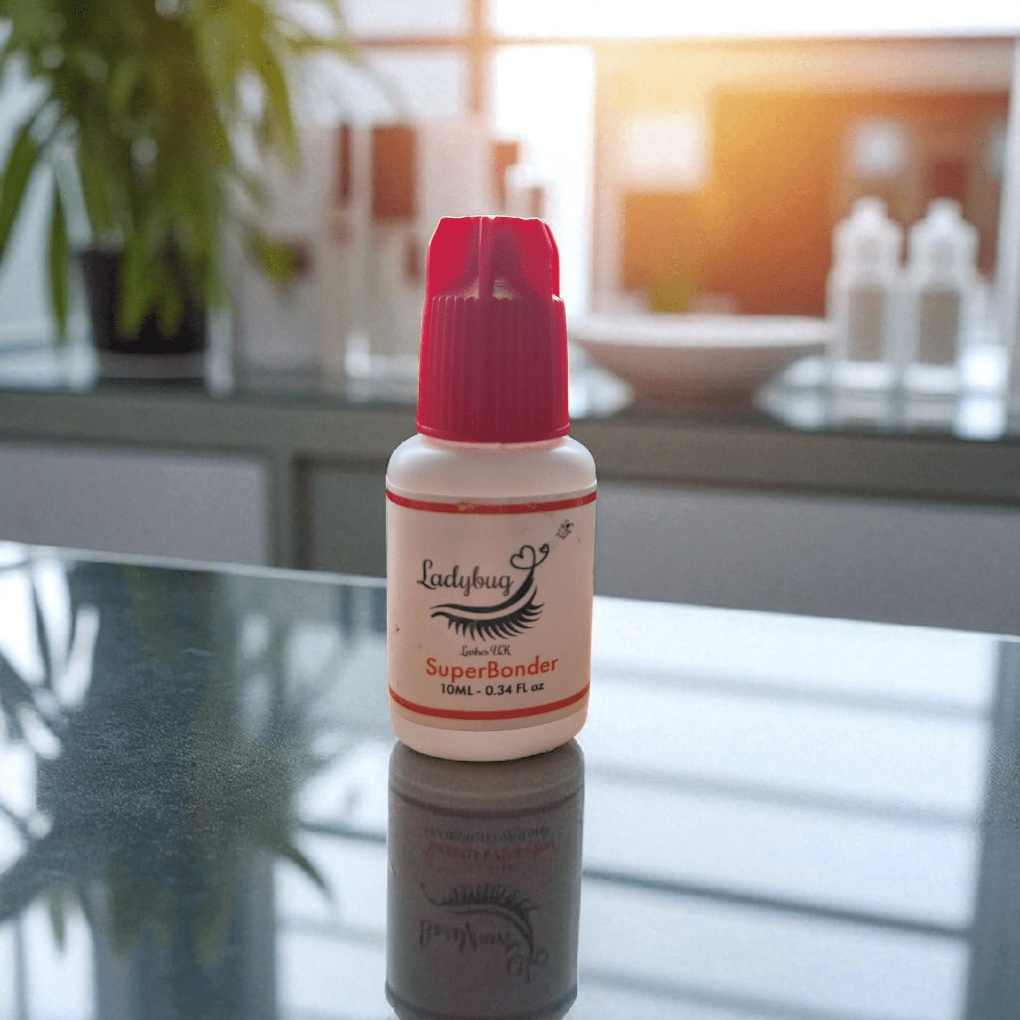 ladybuglashes lashglue lashtrays lashadhesive glueretention cloverlashes wlashes yylashes premades promades lashes