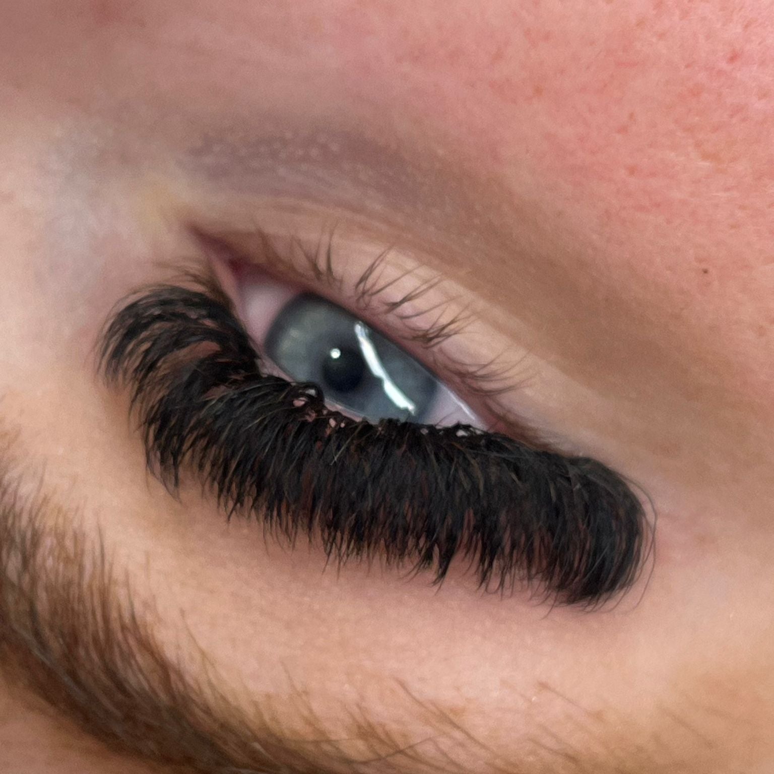 10D Clover Lashes 16 row mixed box