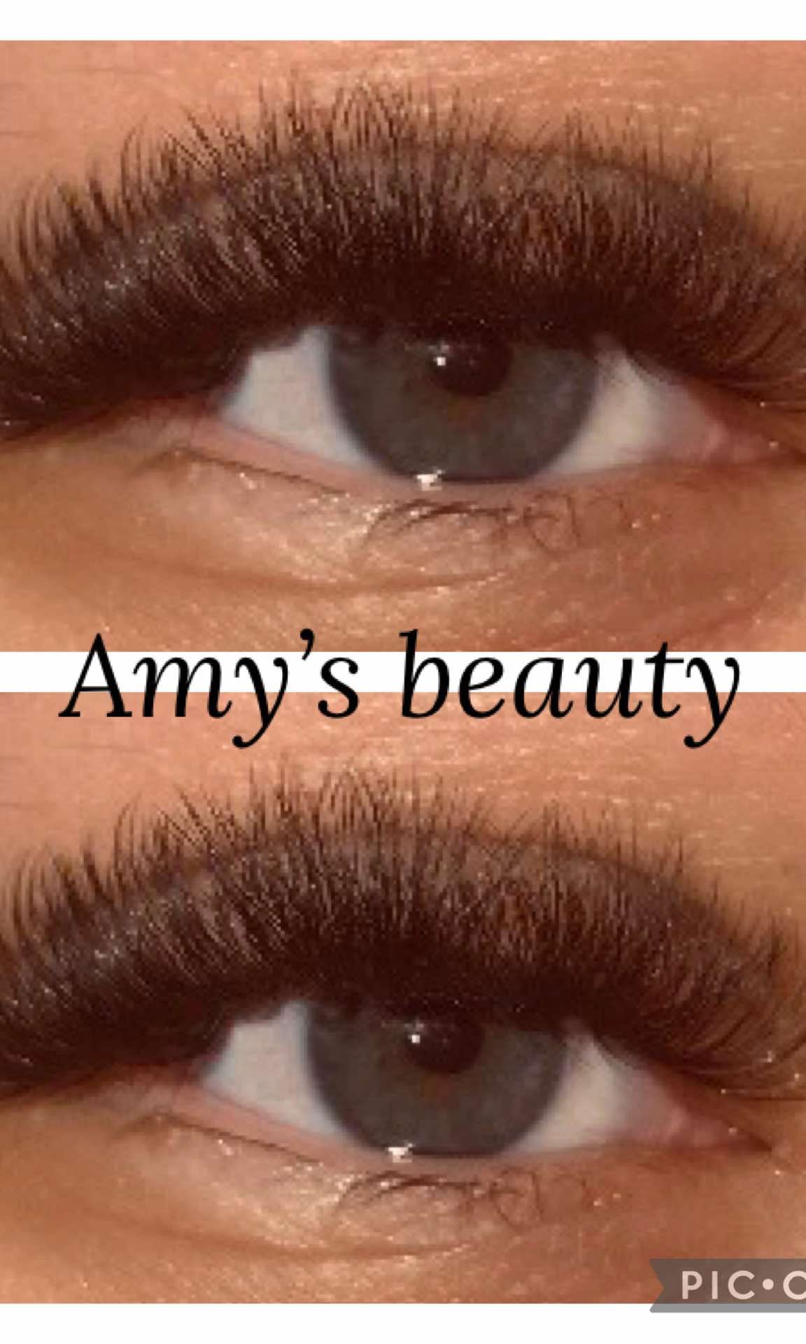 ladybuglashes lashglue lashtrays lashadhesive glueretention cloverlashes wlashes yylashes premades promades lashes