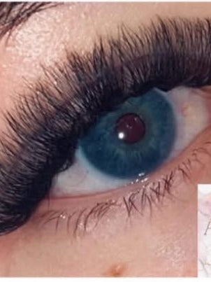 ladybuglashes lashglue lashtrays lashadhesive glueretention cloverlashes wlashes yylashes premades promades lashes