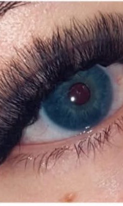 ladybuglashes lashglue lashtrays lashadhesive glueretention cloverlashes wlashes yylashes premades promades lashes