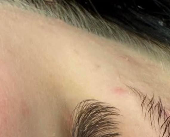 ladybuglashes lashglue lashtrays lashadhesive glueretention cloverlashes wlashes yylashes premades promades lashes