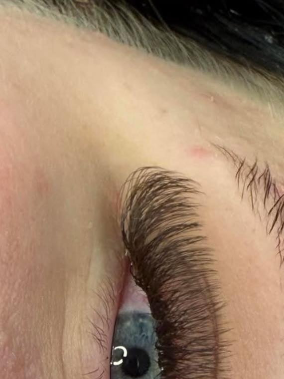 ladybuglashes lashglue lashtrays lashadhesive glueretention cloverlashes wlashes yylashes premades promades lashes