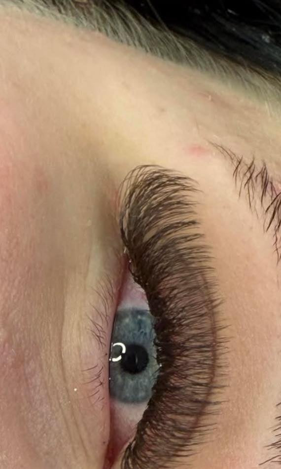 ladybuglashes lashglue lashtrays lashadhesive glueretention cloverlashes wlashes yylashes premades promades lashes