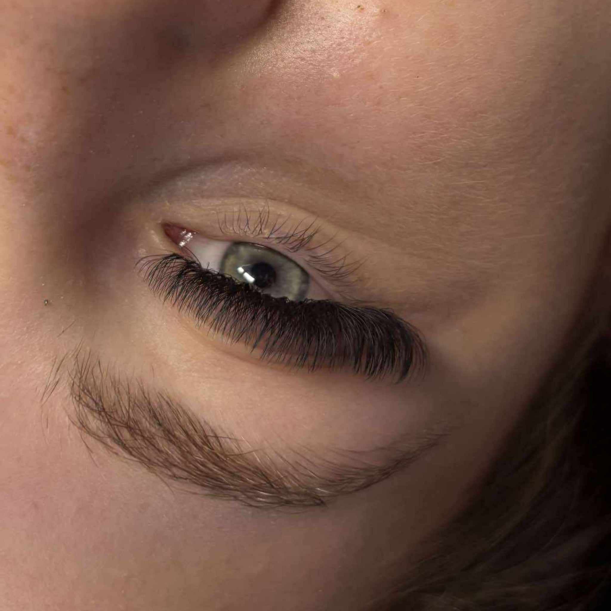 8D Clover Lashes 16 row mixed tray