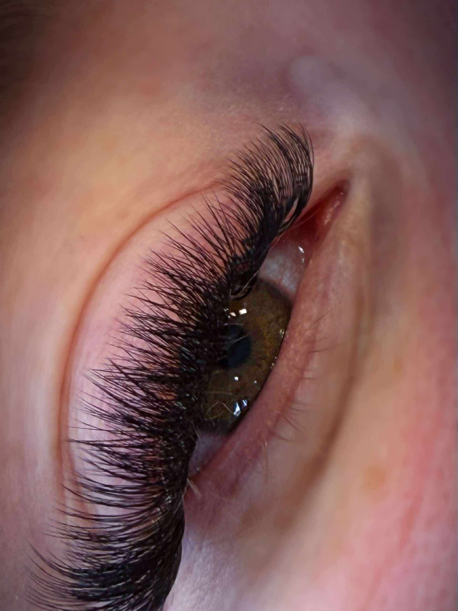 ladybuglashes lashglue lashtrays lashadhesive glueretention cloverlashes wlashes yylashes premades promades lashes