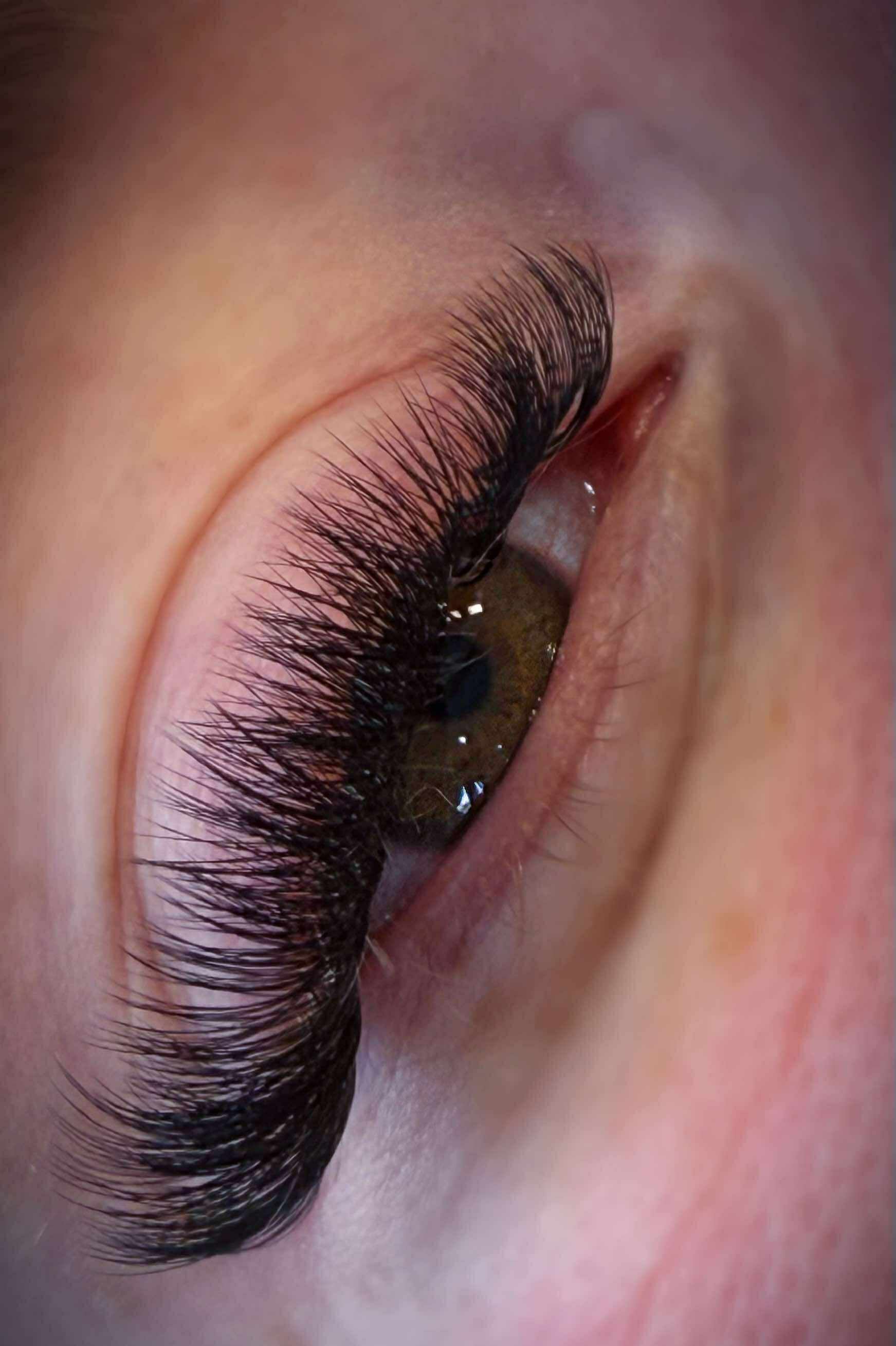 ladybuglashes lashglue lashtrays lashadhesive glueretention cloverlashes wlashes yylashes premades promades lashes