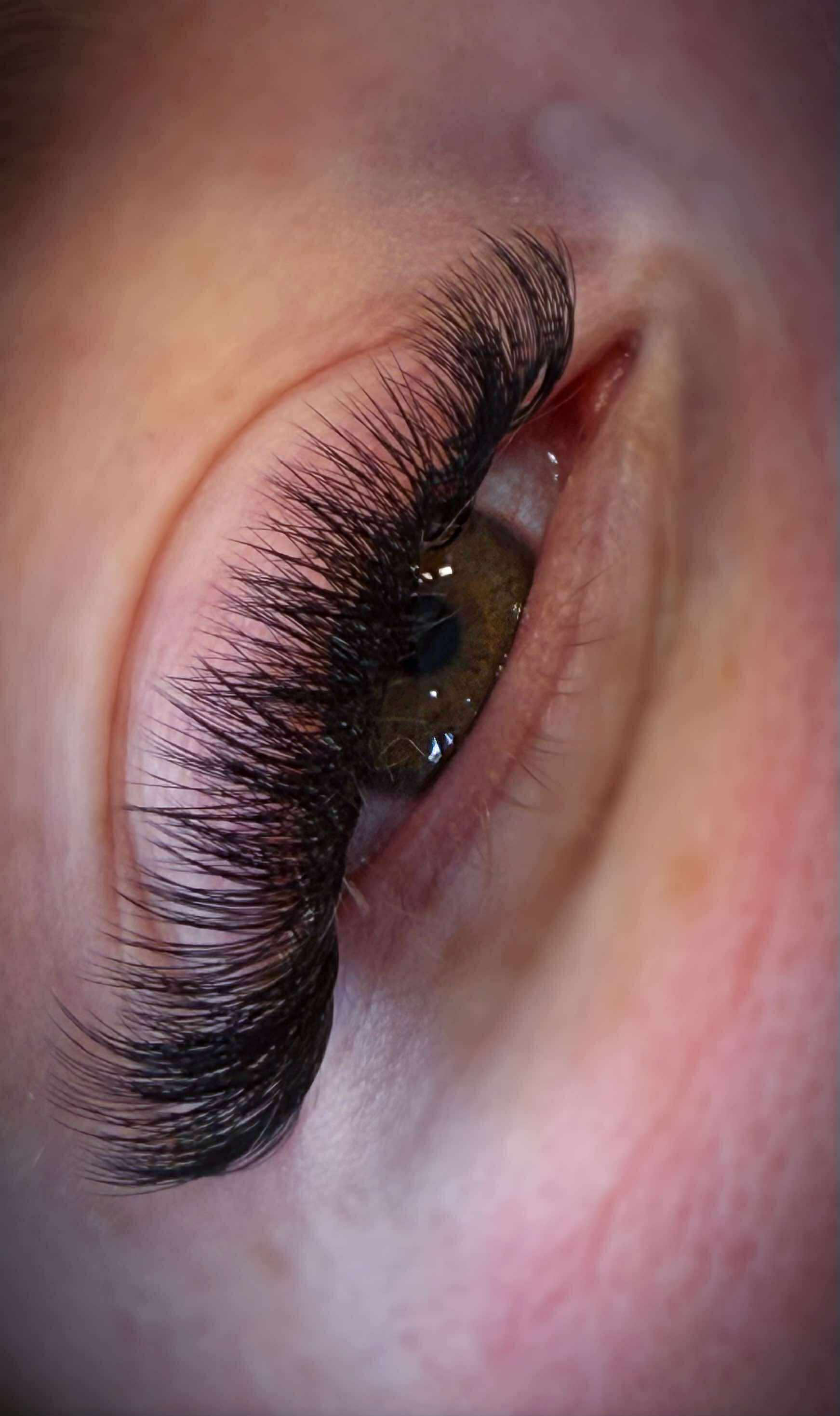 ladybuglashes lashglue lashtrays lashadhesive glueretention cloverlashes wlashes yylashes premades promades lashes