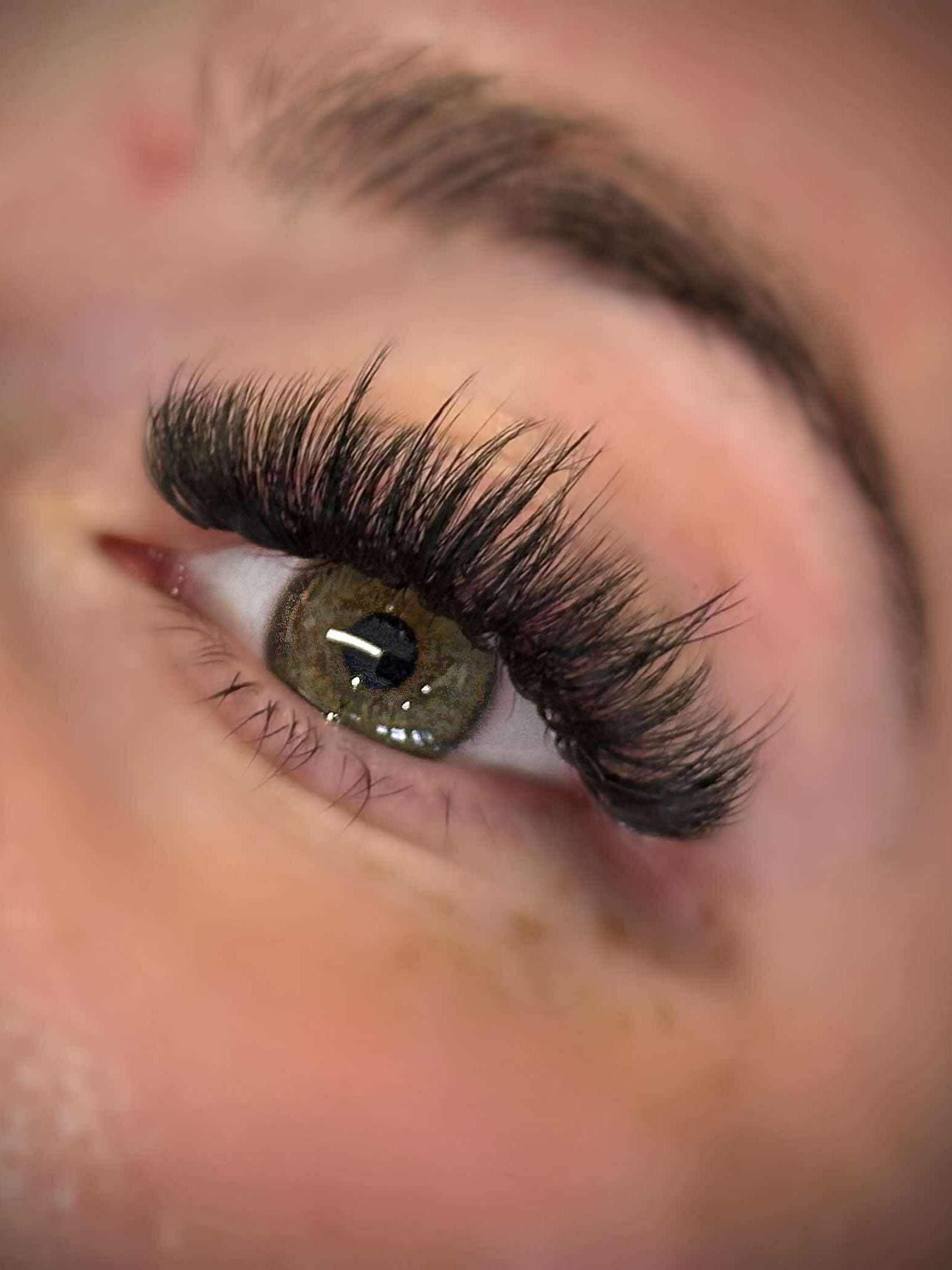 ladybuglashes lashglue lashtrays lashadhesive glueretention cloverlashes wlashes yylashes premades promades lashes