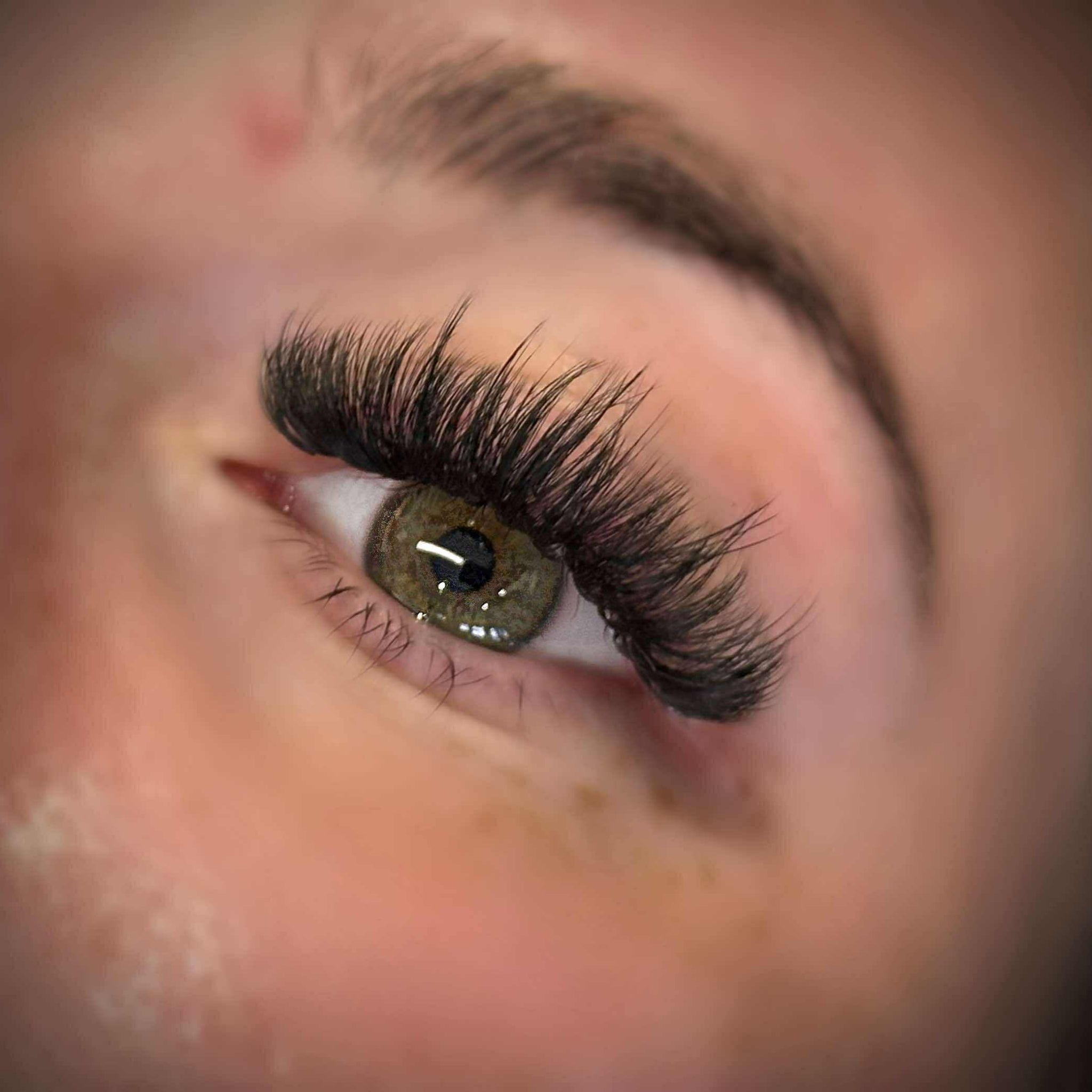 ladybuglashes lashglue lashtrays lashadhesive glueretention cloverlashes wlashes yylashes premades promades lashes