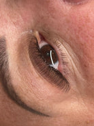 ladybuglashes lashglue lashtrays lashadhesive glueretention cloverlashes wlashes yylashes premades promades lashes