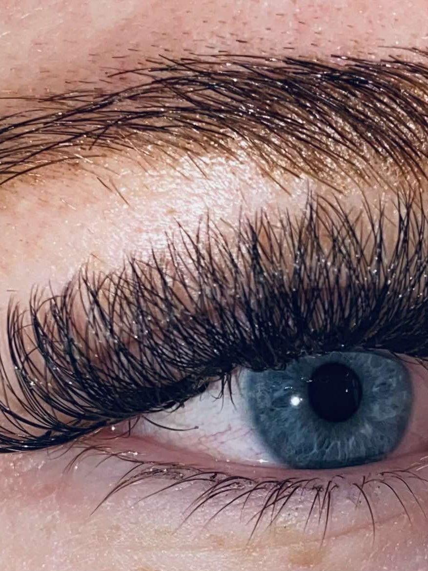 ladybuglashes lashglue lashtrays lashadhesive glueretention cloverlashes wlashes yylashes premades promades lashes