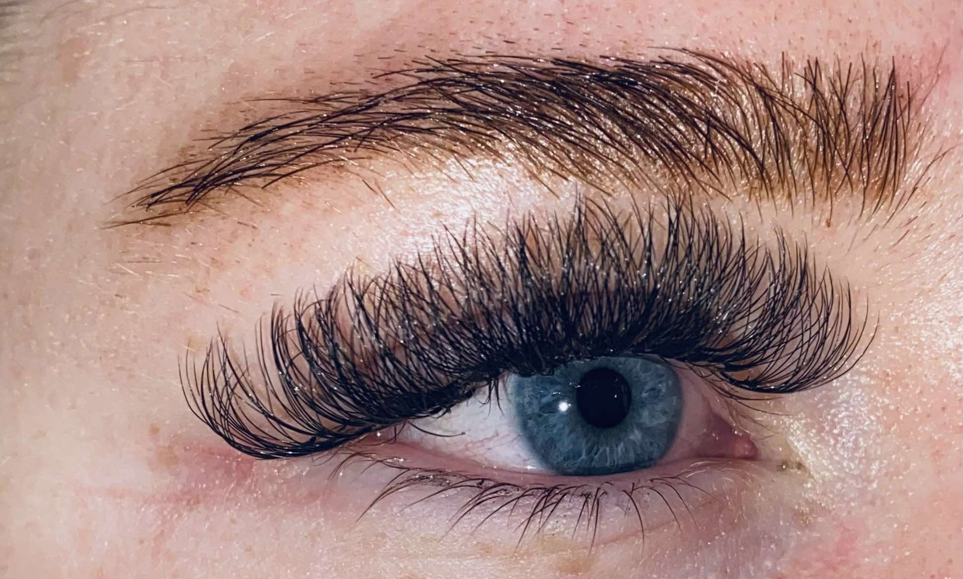 ladybuglashes lashglue lashtrays lashadhesive glueretention cloverlashes wlashes yylashes premades promades lashes