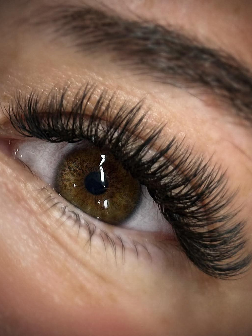 ladybuglashes lashglue lashtrays lashadhesive glueretention cloverlashes wlashes yylashes premades promades lashes