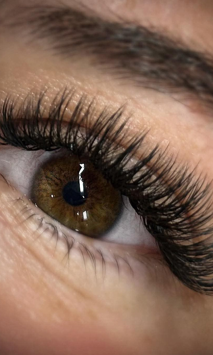 ladybuglashes lashglue lashtrays lashadhesive glueretention cloverlashes wlashes yylashes premades promades lashes