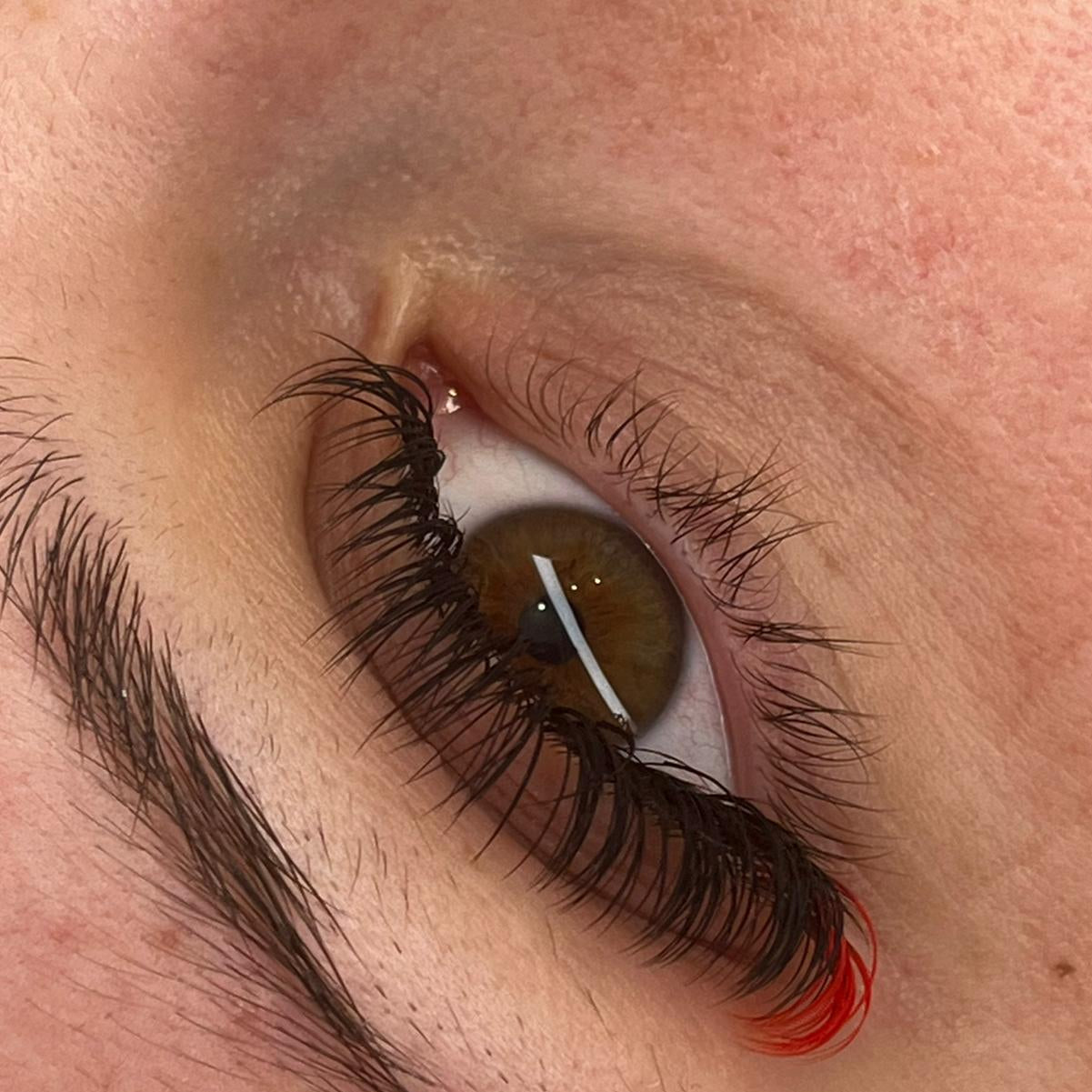 🌈 Bold Colour Volume Lashes 🌈 0.05mm 5-Row Tray 10–14mm Mix