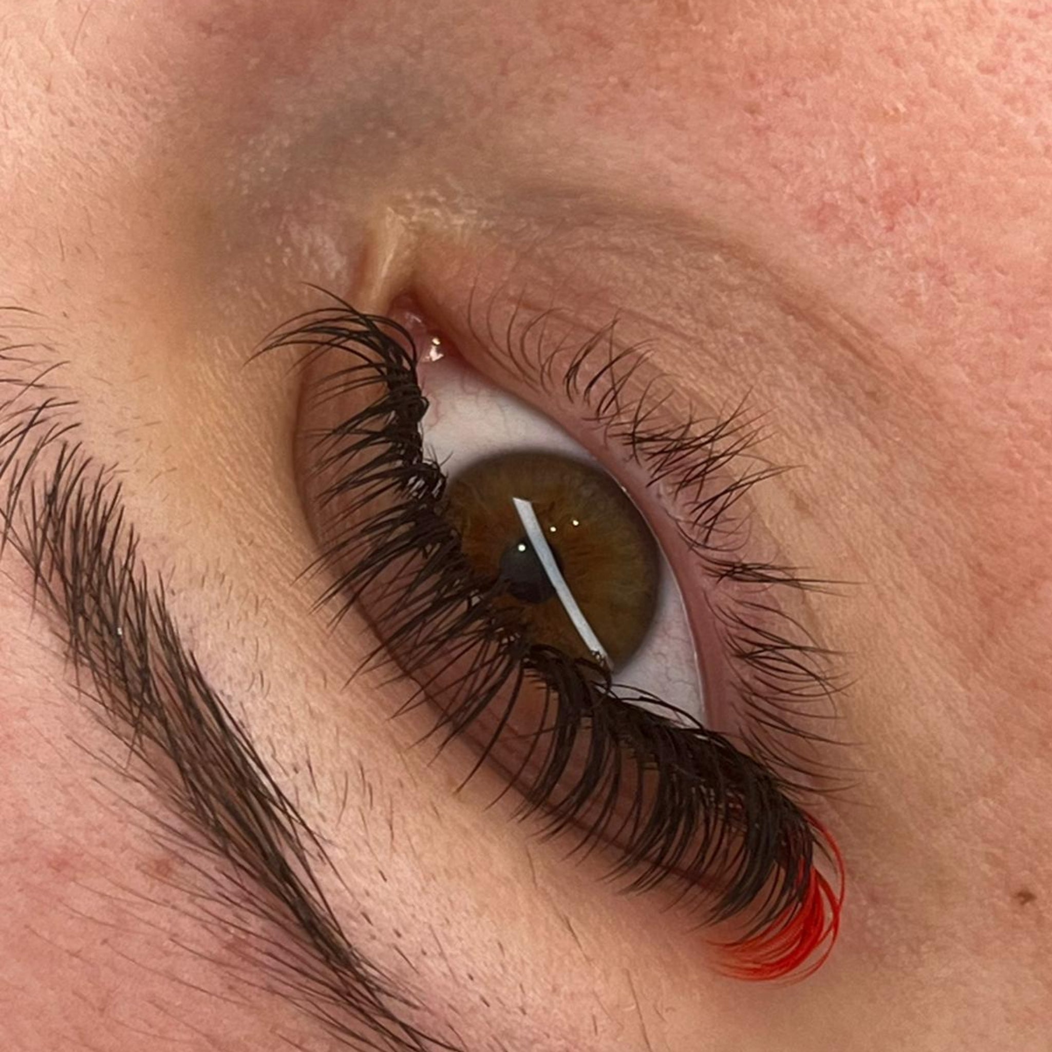Ladybug Lashes Colour Volume Lashes Rosy Red shade application result close-up showing open hazel eye of a fair-skinned client wearing black volume lash extensions with bold red colour tips at the outer corner with Rosy Red text label overlay from diagonal angle
