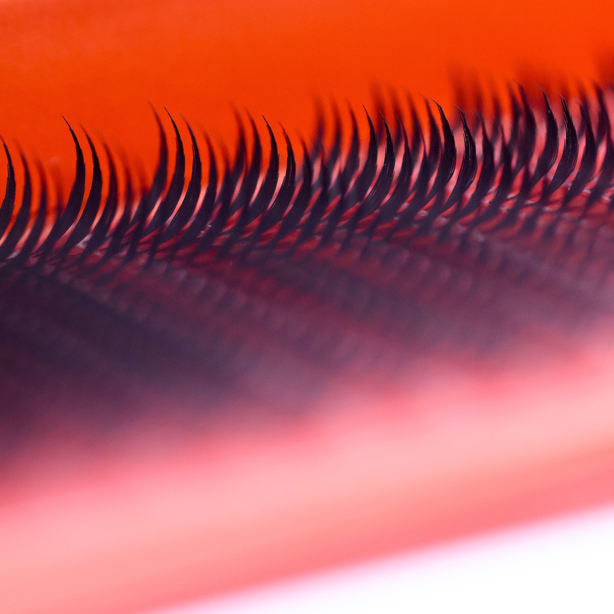 Ultra close-up of Anime Feather lash extensions on red Ladybug Lashes tray showing wispy feather spike structure and length markings on strip