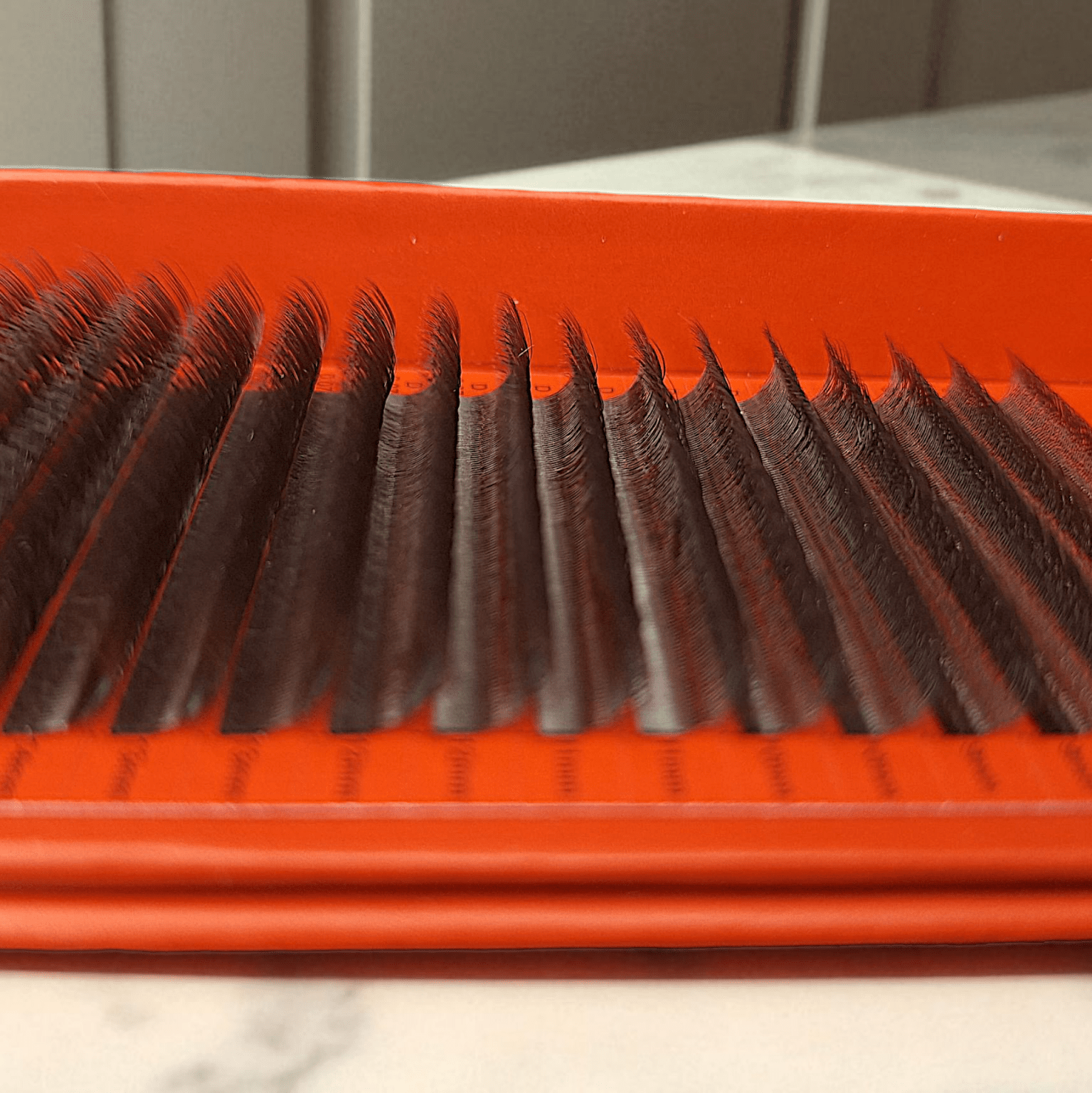 ladybuglashes lashglue lashtrays lashadhesive glueretention cloverlashes wlashes yylashes premades promades lashes