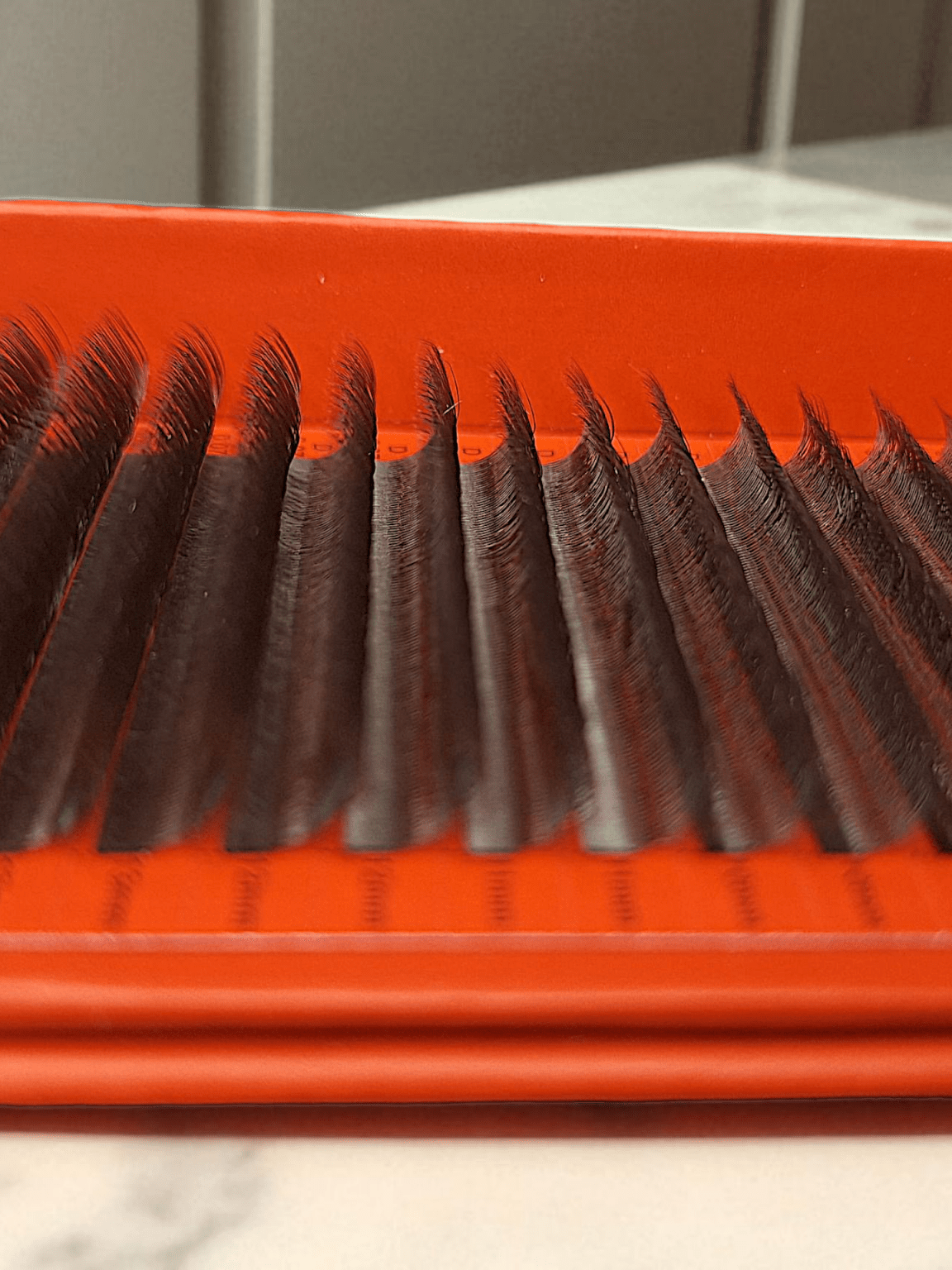 ladybuglashes lashglue lashtrays lashadhesive glueretention cloverlashes wlashes yylashes premades promades lashes