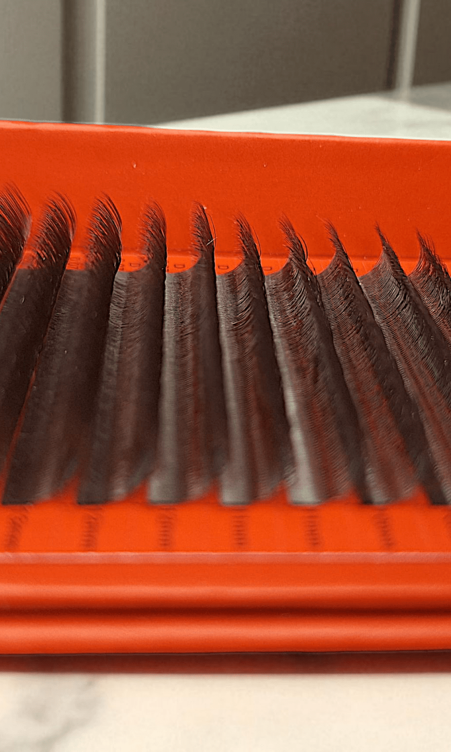 ladybuglashes lashglue lashtrays lashadhesive glueretention cloverlashes wlashes yylashes premades promades lashes