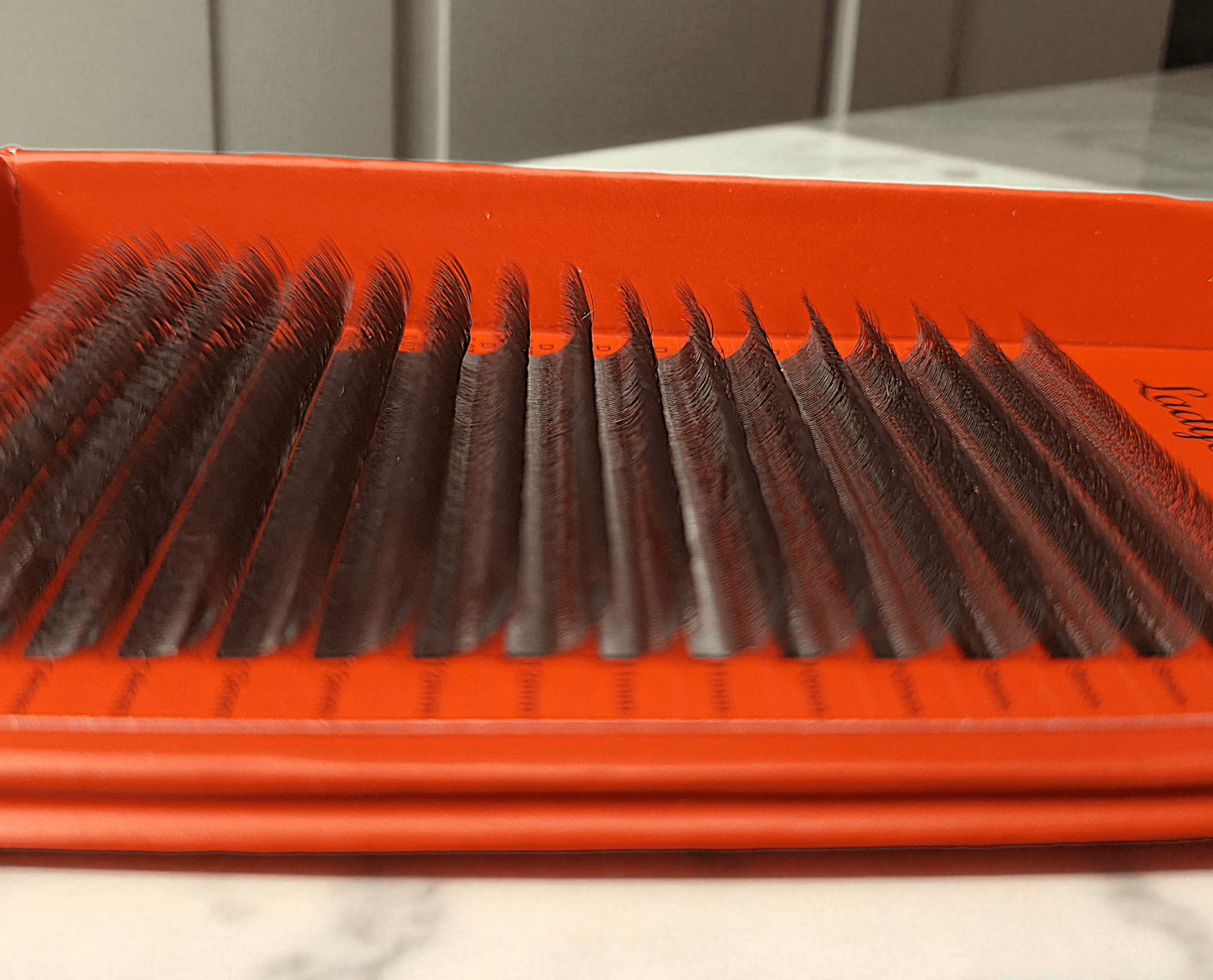 ladybuglashes lashglue lashtrays lashadhesive glueretention cloverlashes wlashes yylashes premades promades lashes