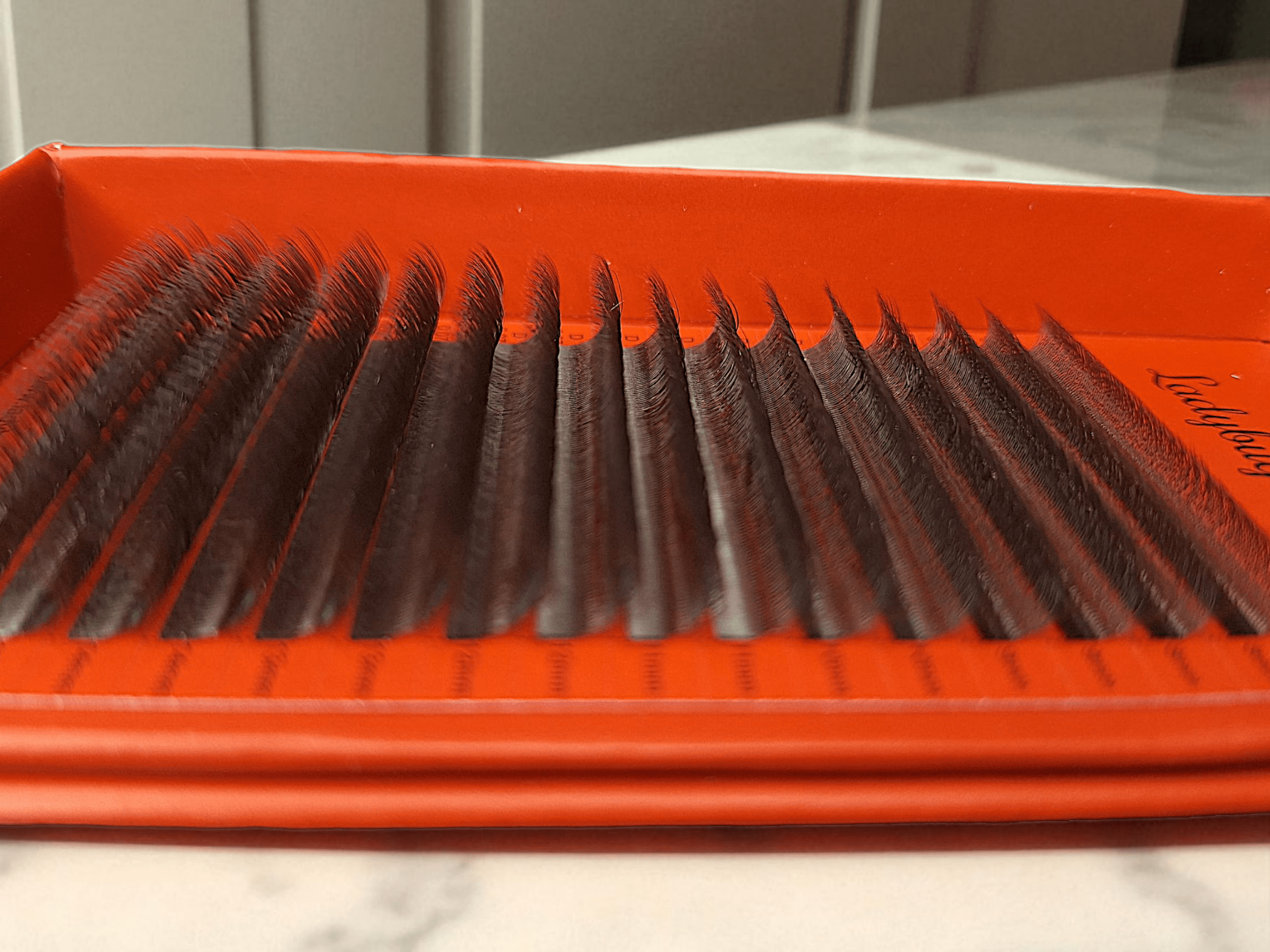 ladybuglashes lashglue lashtrays lashadhesive glueretention cloverlashes wlashes yylashes premades promades lashes