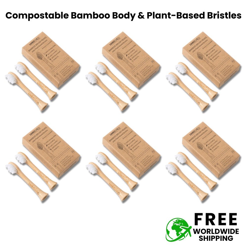 ladybuglashes lashglue lashtrays lashadhesive glueretention cloverlashes wlashes yylashes premades promades lashes