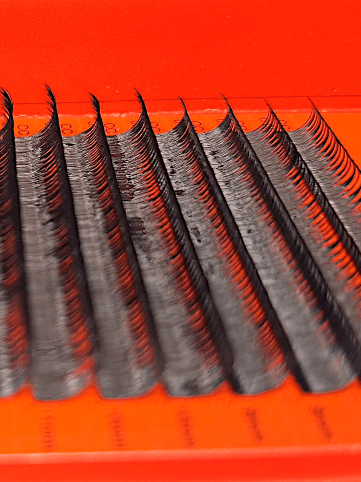 ladybuglashes lashglue lashtrays lashadhesive glueretention cloverlashes wlashes yylashes premades promades lashes