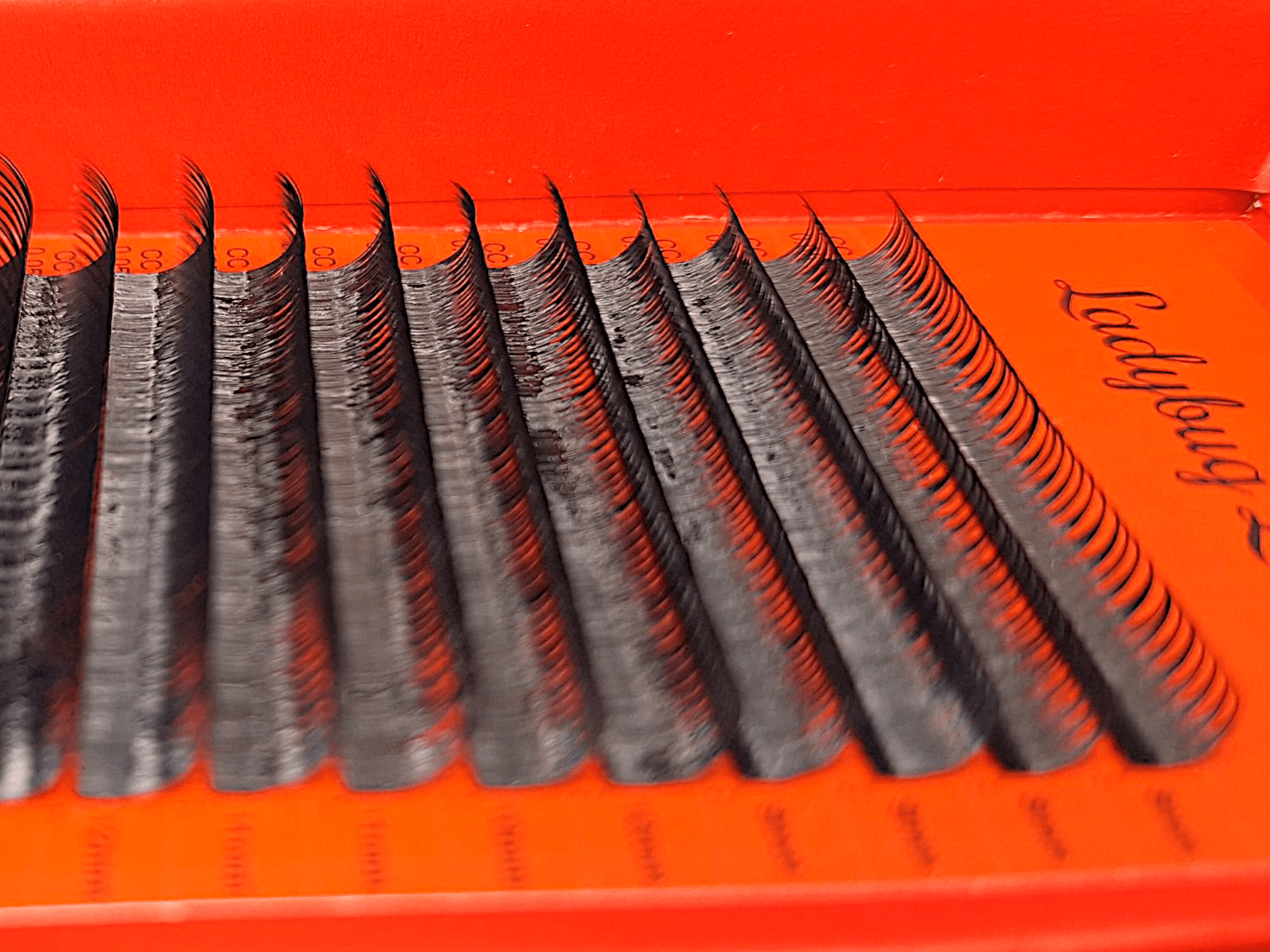 ladybuglashes lashglue lashtrays lashadhesive glueretention cloverlashes wlashes yylashes premades promades lashes