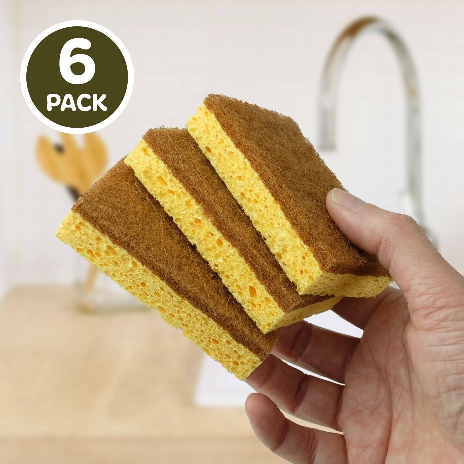 ladybuglashes lashglue lashtrays lashadhesive glueretention cloverlashes wlashes yylashes premades promades lashes