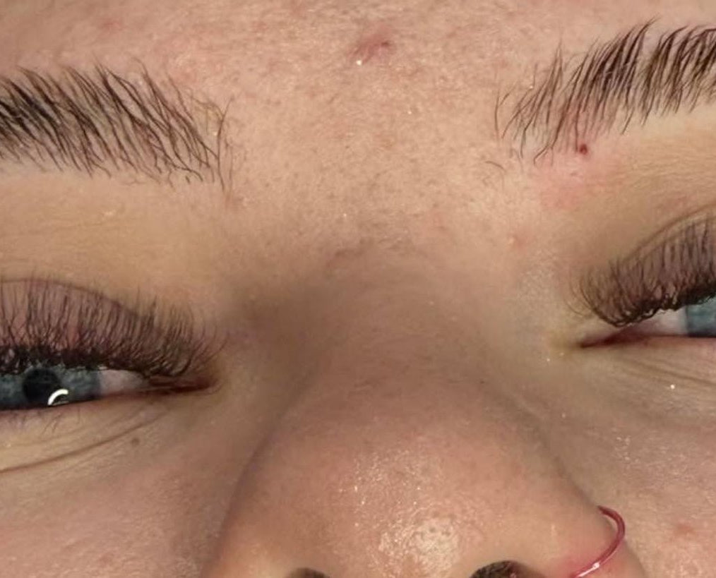 ladybuglashes lashglue lashtrays lashadhesive glueretention cloverlashes wlashes yylashes premades promades lashes